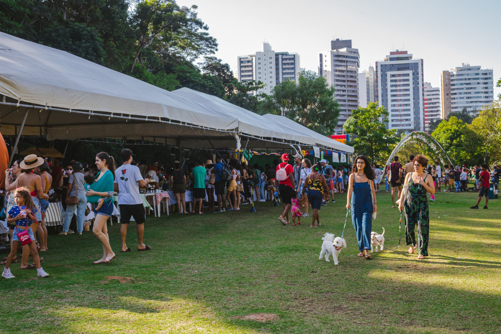 Um dia de sol e vários visitantes